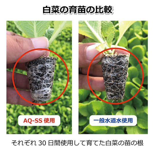 アクアビュル ガーデン