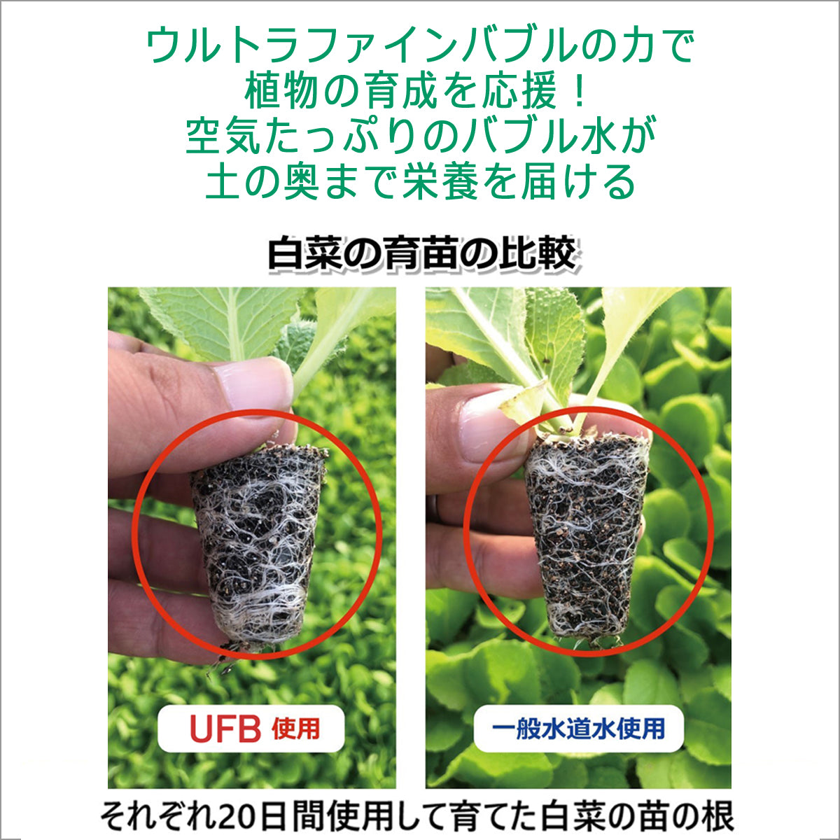 アクアビュル　ガーデン